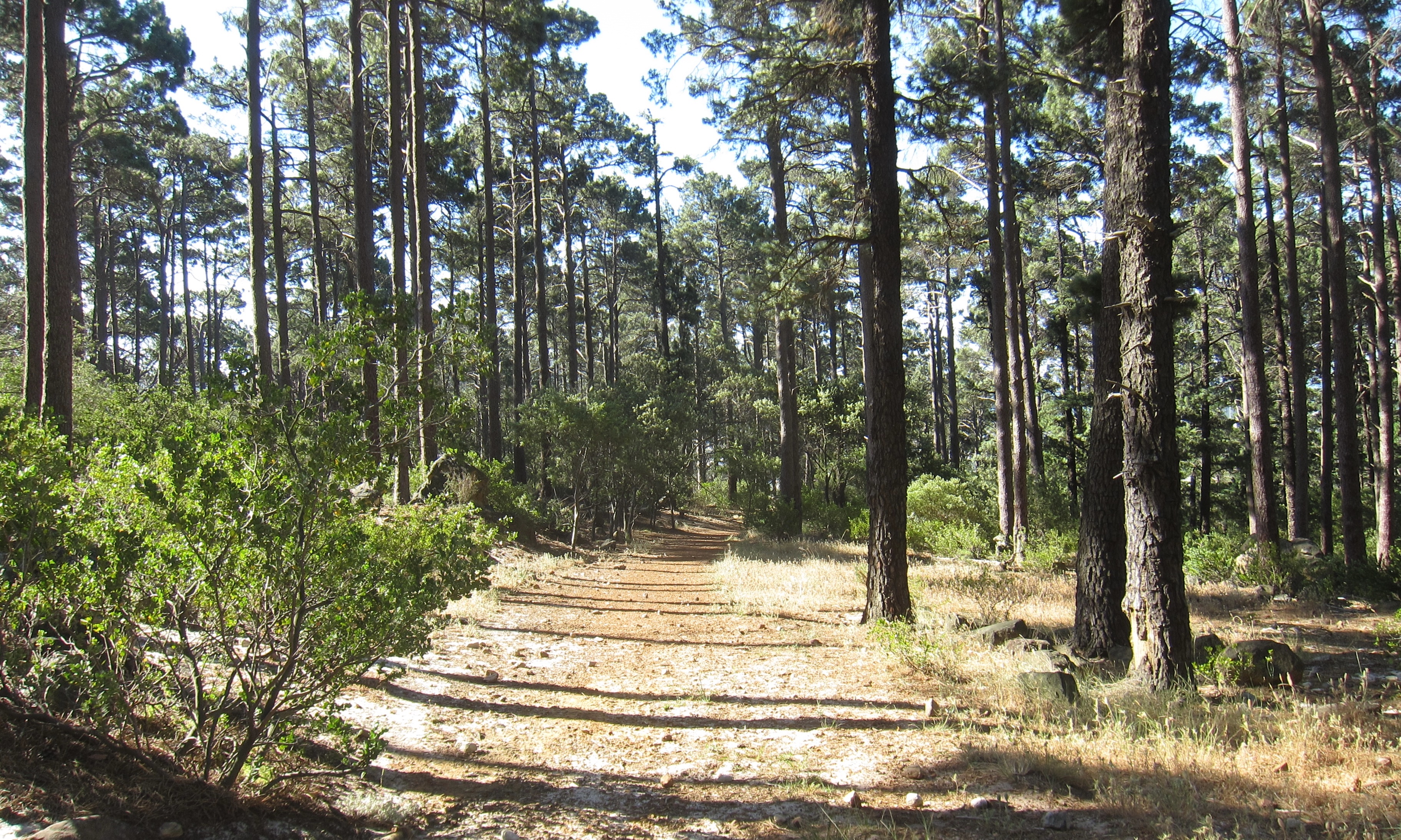 Deer Park